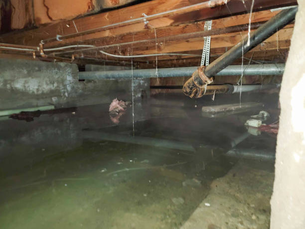 Best Water damage restoration near me  in Pasadena, CA