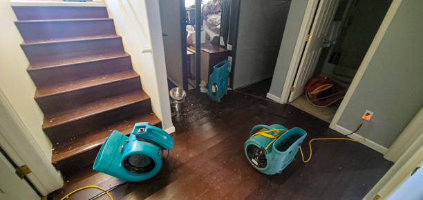  Pasadena, CA Water damage restoration Pros