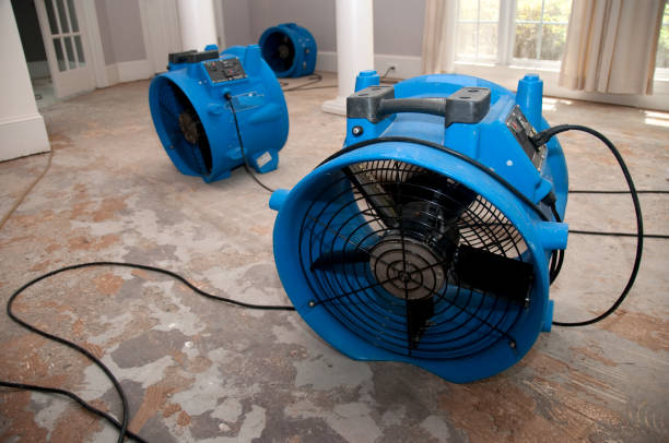 Best 24/7 water damage repair  in Pasadena, CA
