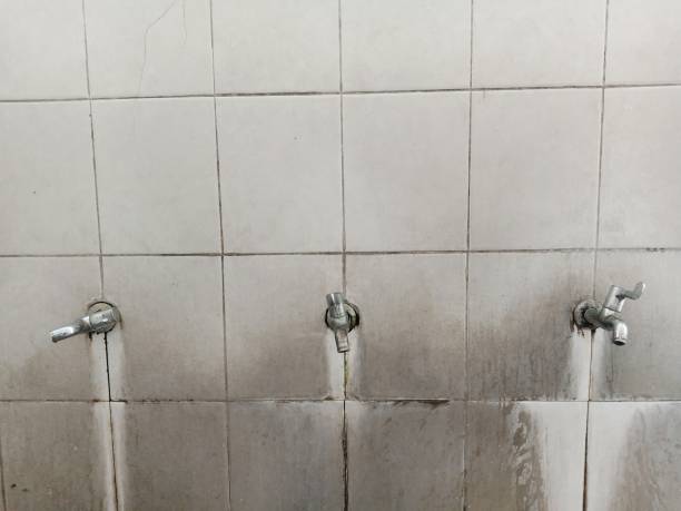 Best Water damage restoration near me  in Pasadena, CA