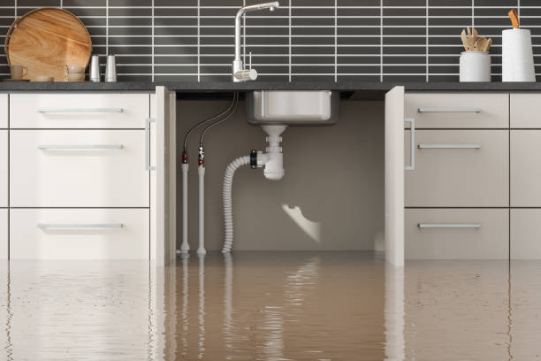 Water damage restoration mold remediation in CA
