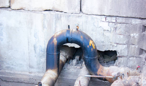 Best 24-hour water damage restoration  in Pasadena, CA