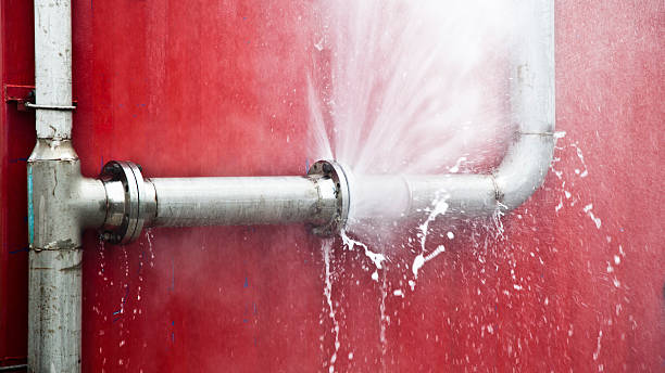 Best Sewage cleanup and water damage restoration  in Pasadena, CA
