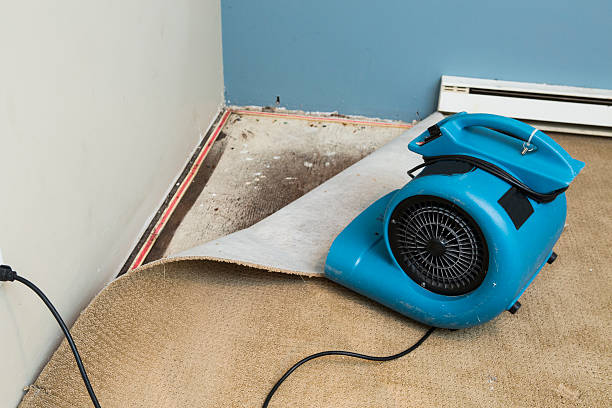Best Ceiling water damage repair  in Pasadena, CA